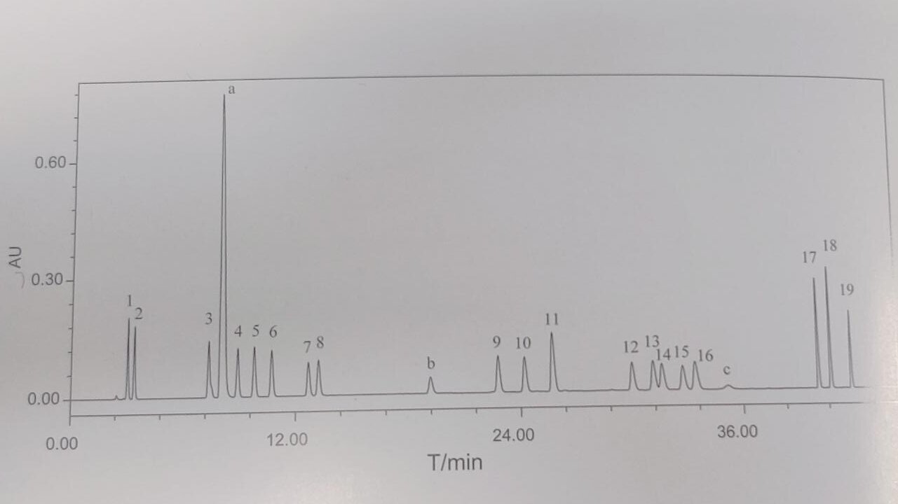 ساا-19 (1)
