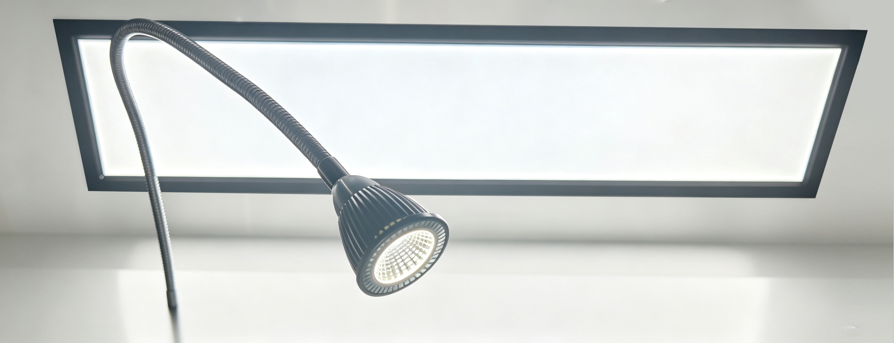 lamp.jpg